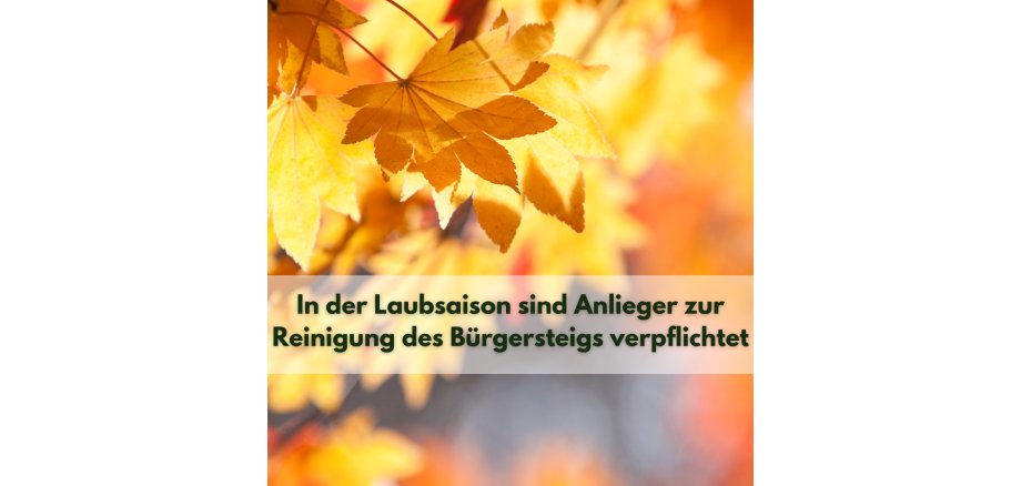 Vielleicht liegt darin auch eine gewisse Freiheit – anzuerkennen, dass wir auf all diese Charaktere treffen, ohne selbst daran zu verzweifeln. So bleibt es bei uns, ob wir in ihnen nur die Schattenseiten sehen oder uns die Gelassenheit bewahren - 1